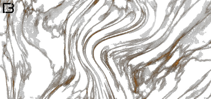 wmbg202501081036marbel high.jpg